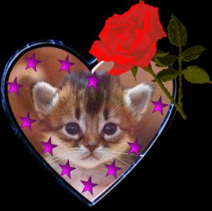 brucelee maroc imisil  brucelee_maroc@bm.com           ������ �����  �����  ��� ����  ��  ������  ���  ���  ����� �������  ���  ���  �����  ���� ��  �� ��� ��� ���  �����  ����  ��� ���  �����  �� ���